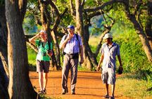 Sigiriya Village Tour from Habarana