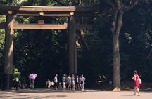 Tokyo Half-day Customized Private Tour
