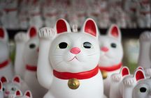 Tokyo 6 hours Customized Private Tour