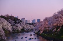 Tokyo 6 hours Customized Private Tour