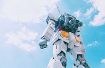 Tokyo 6 hours Customized Private Tour