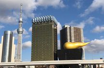 Introductory Tokyo Tour for the first timers: learn basic Travel tips and tricks
