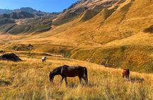 From Tbilisi: Kazbegi Ananuri Gudauri and Trusso Valley by 4x4