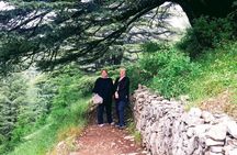 Guided Full-Day Private Trip to Cedars, Baalbek and Chateau Ksara 