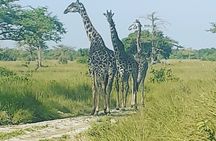4 Days Tanzania Safari from Zanzibar itinerary