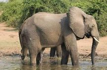 4 Days Tanzania Safari from Zanzibar itinerary
