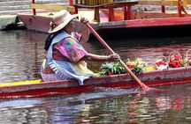 Private Tour: Xochimilco Coyoacan and Frida Kahlo's Museum and house 