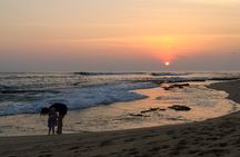 Southern Coast Highlights from Unawatuna