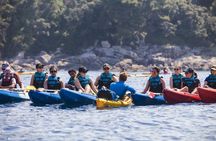 Afternoon Kayaking in Dubrovnik