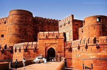 From Delhi: Sunrise Taj Mahal Tour With Elephant Conservation