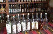 Real Mezcal Adventure
