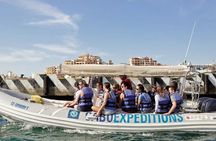 Beach Hopper, Amazing Snorkel Experience At Los Cabos! 