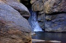 The Beauty And Culture Of Coorg - From Bangalore With Private Transfer