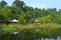 The Beauty And Culture Of Coorg - From Bangalore With Private Transfer