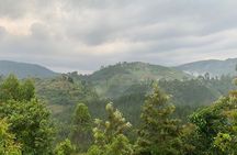 3 Day Gorilla Trek at Bwindi National Park via Kigali