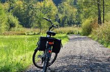 E.Bike Tours around Heidelberg