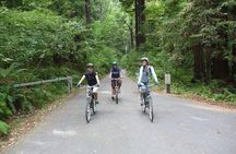 E.Bike Tours around Heidelberg