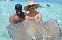 Starfish Point, Stingray City & Coral Garden (3-STOP Adventure)