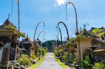 Private Experience: Bali Village Tour
