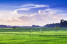 Private Experience: Bali Village Tour