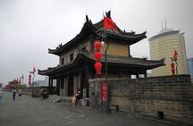 Xi'an 2-Day Private Tour from Chengdu with First Class Bullet Train Experience