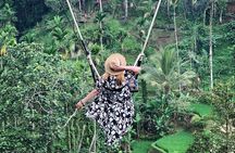 Ubud Tour - Best Of Ubud With Jungle swing - All Inclusive 