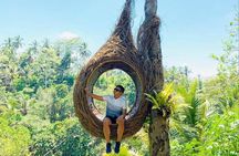 Ubud Tour - Best Of Ubud With Jungle swing - All Inclusive 
