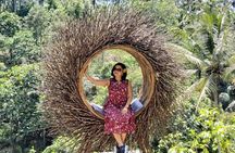 Ubud Tour - Best Of Ubud With Jungle swing - All Inclusive 
