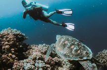 Underwater Museum & Reef Dive in Cancun
