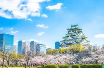 Osaka Private Day Trip - Enjoy Your First-Time Visit to Osaka!