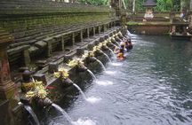 Ubud Tour : Monkey forest, Rice terrace, Water temple, Waterfall & Jungle Swing
