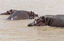 2-Day private Tour in Bahir Dar and Blue Nile falls 