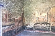 Small group Pompeii guided tour