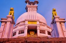 Discover Dhauli Shanti Stupa Bhubaneswar(Guided Halfday Sightseeing Tour by Car)