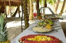 Saona Island Day Trip and Cruise from Punta Cana 
