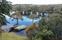 4-Days Unique Experience at Amazon Lodge, immersion on a Jungle Adventure 