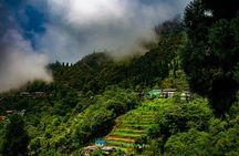 Tiger Hill Darjeeling Nature Walk (3 Hours Guided Trekking Experience)