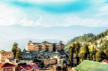 Tiger Hill Darjeeling Nature Walk (3 Hours Guided Trekking Experience)