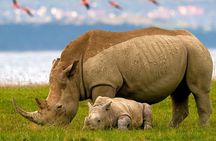 Lake Nakuru National Park & Boat Ride at Lake Naivasha Day Tour From Nairobi