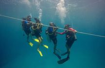 Open Water Diver - Bávaro