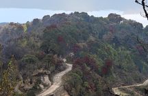 Day Trip to Singalila (Guided Private Sightseeing Experience from Darjeeling)