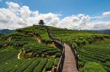 Day Trip to Singalila (Guided Private Sightseeing Experience from Darjeeling)
