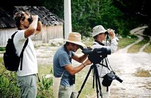 Birdwatching in Sian Ka´an and Muyil Archaeological Site from Tulum