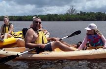 Guided Wildlife Eco Kayak Tour in New Smyrna Beach
