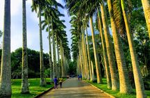 Two Days City Sightseeing 