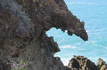 Boat Excursion to visit underwater lava tongues