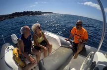 Boat Excursion to visit underwater lava tongues