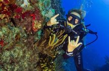 Advanced Open Water Diver - Bávaro