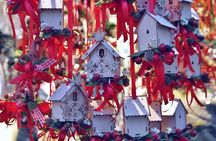 The Hague Christmas Market Tour