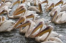 2-Day private Tour in Bahir Dar and Blue Nile falls 